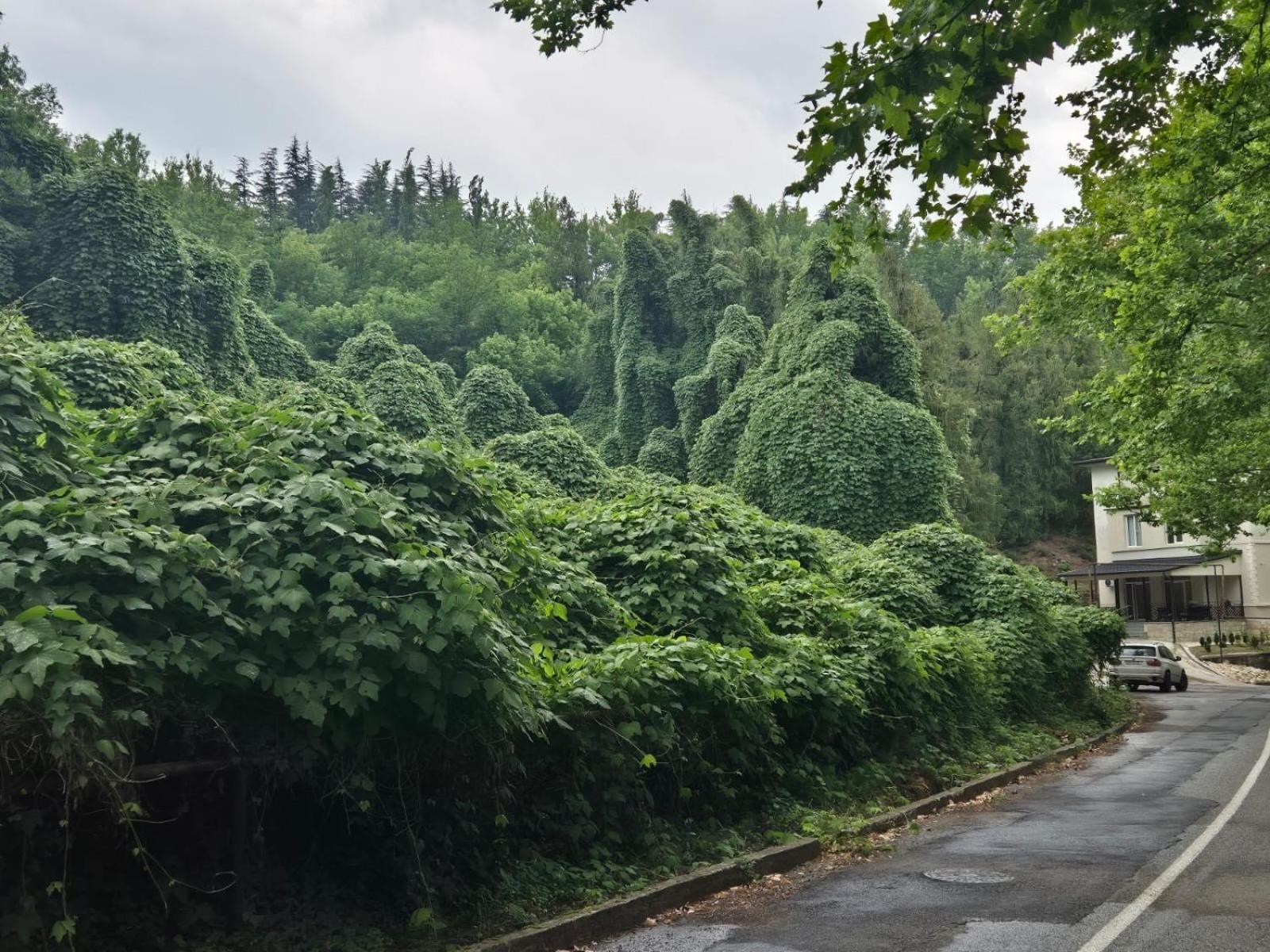 Tskaltubo Apartments エクステリア 写真